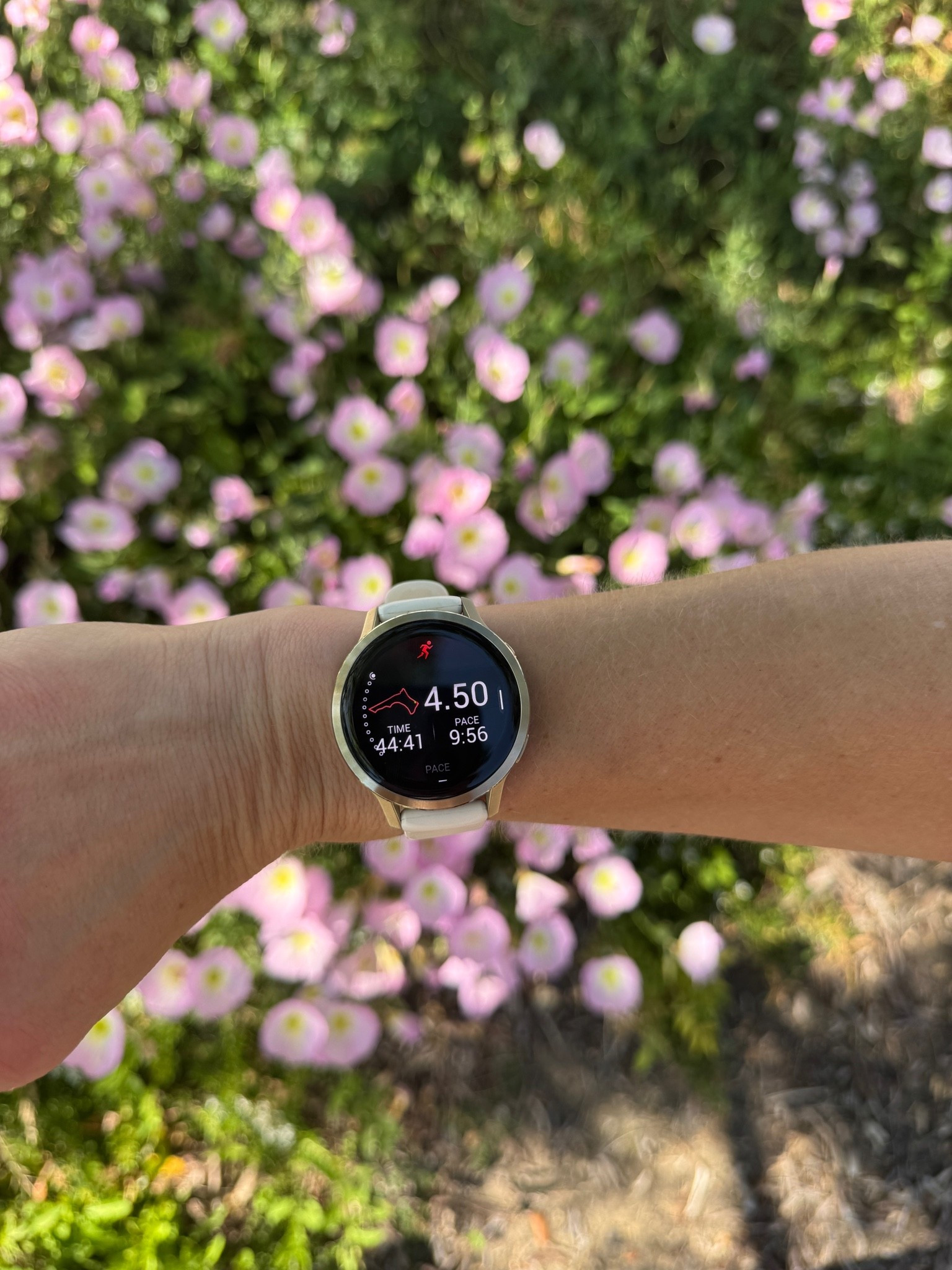 The best smart watch for beginner runners who want more stats for working out. Love Garmin!

#LTKmomlife #LTKActive #LTKmorningroutine