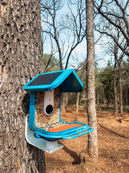 Bird Buddy smart bird feeder. we are loving how fun this is for the kids! I linked several similar options in different price points as well 

#LTKhome #LTKfamily #LTKkids