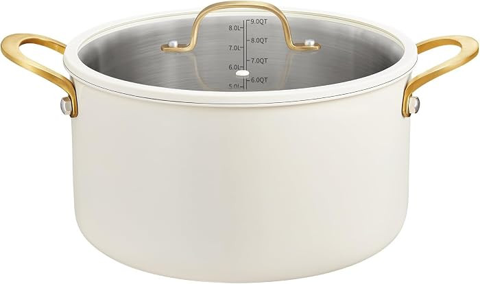 BEZIA 10 Quart Stainless Steel Stock Pot with Lid, Large Soup Pot for Batch Cooking & Entertainin... | Amazon (US)