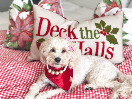 Christmas throw pillows, blankets, and candles for a cozy winter with your pup 
#ltkdog 

Dog necklace: agirlsyorkie.com
Dog bandana: eco4paws.com CODE: HONEY_10

#LTKfamily #LTKSeasonal #LTKHoliday