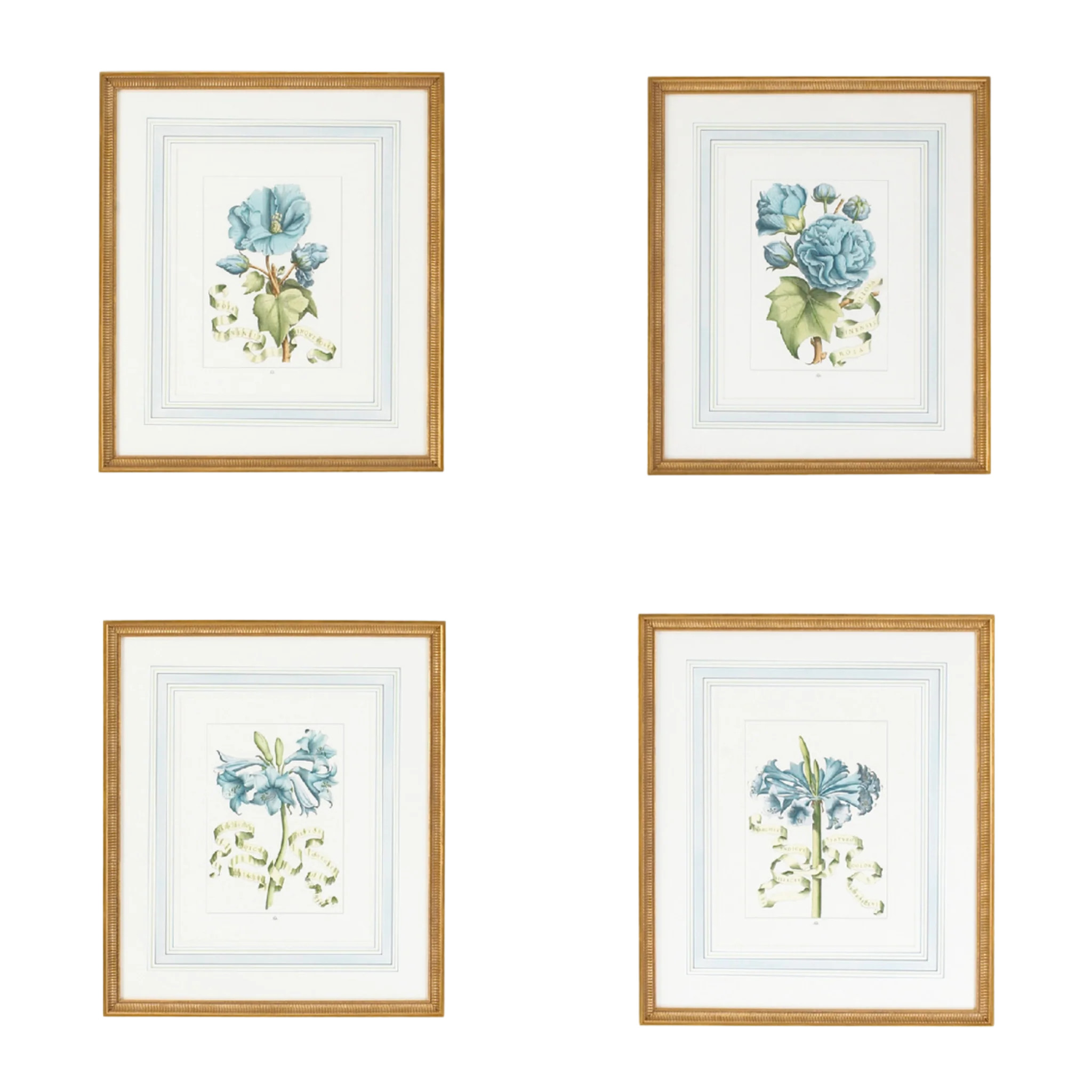 Set of Four Blue Flowers With Ribbon Botanical Wall Art Prints | The Well Appointed House, LLC