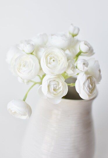 10.5" Faux White Ranunculus Stem Bundle | Michaels Stores