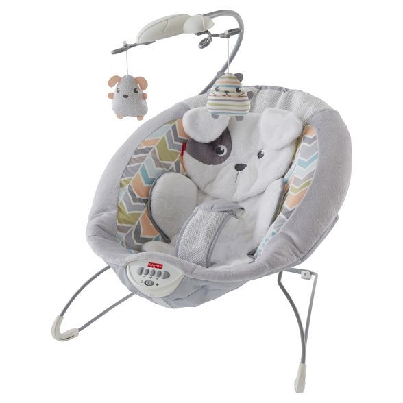 Fisher-Price Sweet Snugapuppy Dreams Deluxe Bouncer | Target