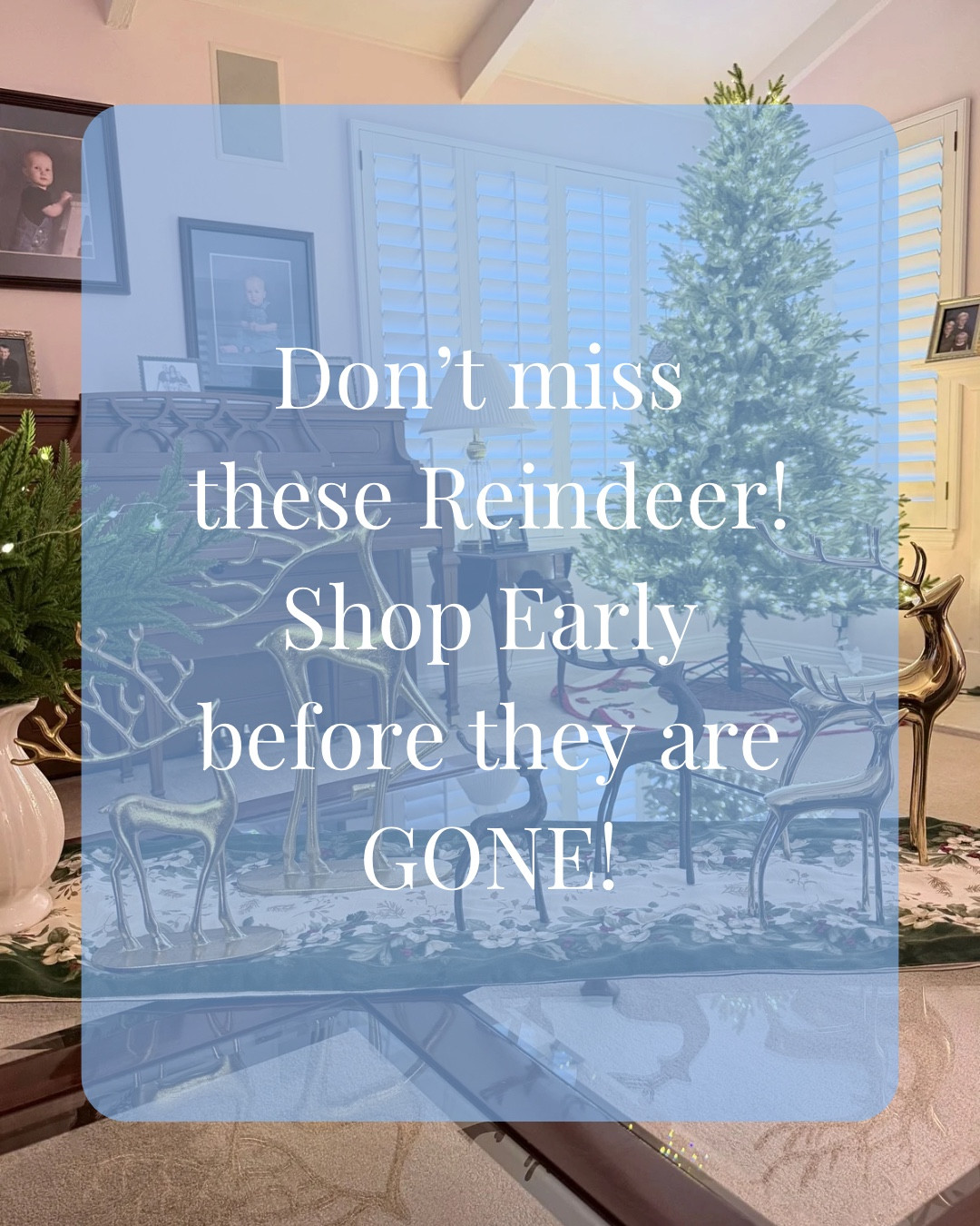 Sellout risk! These reindeer décor finds look luxe but are budget-friendly From Amazon. 

First up: the sleek modern duo that gives designer vibes without the price tag. Next: the cozy rustic duo, perfect for farmhouse holiday style. And finally: the timeless classic duo that sold out last year and will again! I’ve also included the popular Pottery Barn reindeer links below just in case that’s your vibe!🦌 

Don’t wait to shop your favorites.

🏠 Follow for more real-life décor, home finds and organizing ideas for a home that’s pretty, not perfect!

 #HolidayBestSeller #ReindeerDecor #ChristmasDecorFinds #HomeStyleOnABudget #SellOutRisk

#LTKHome #LTKHoliday #LTKSeasonal