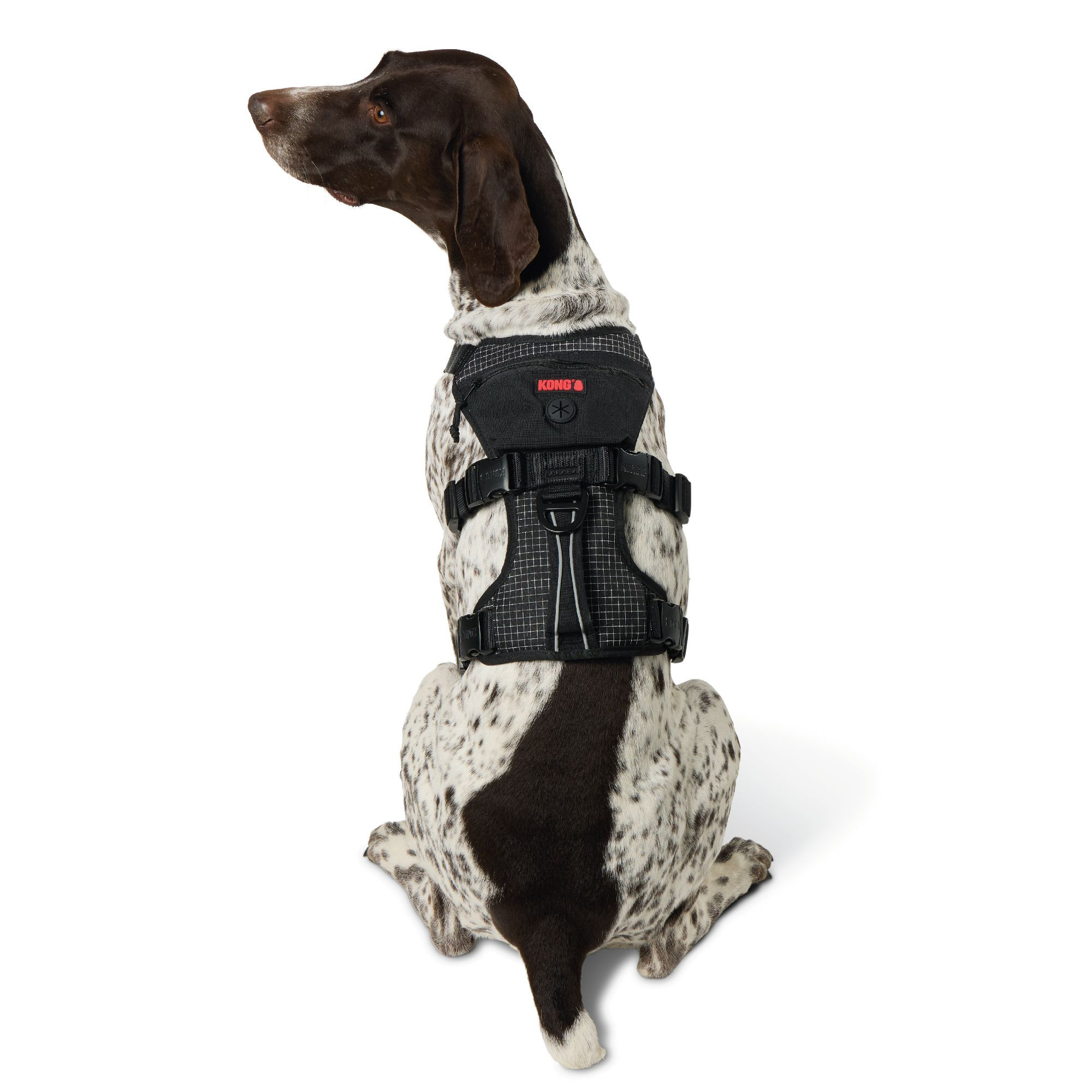 Kong® Safety Dog Harness | PetSmart