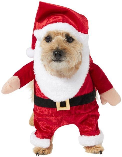 FRISCO Front Walking Santa Dog & Cat Costume, Medium - Chewy.com | Chewy.com