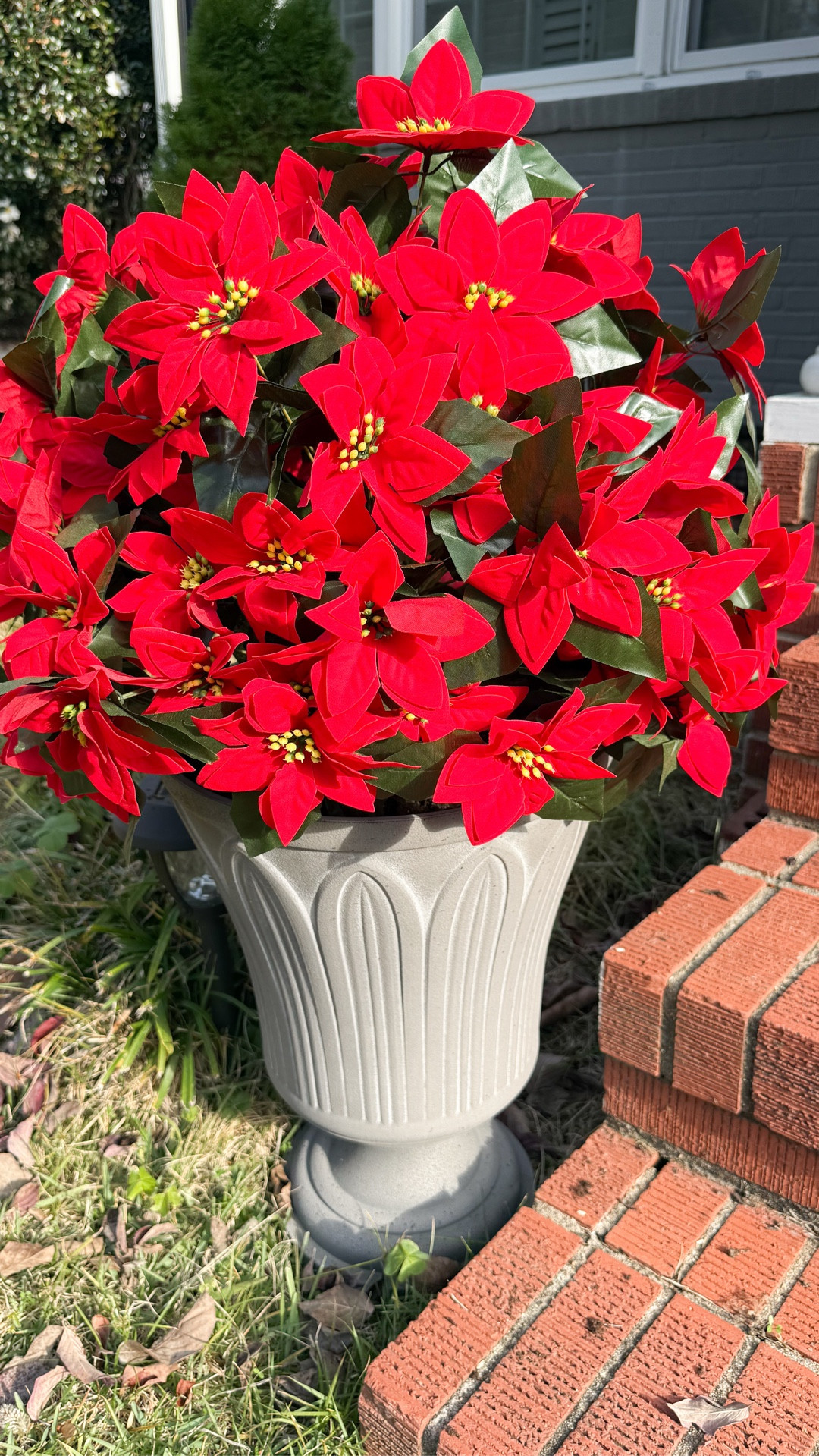 Using these faux poinsettias to decorate my planters for the Christmas season. They come with fairy lights and in a pack of two. An Amazon find! 

#LTKSeasonal #LTKHoliday #LTKHome