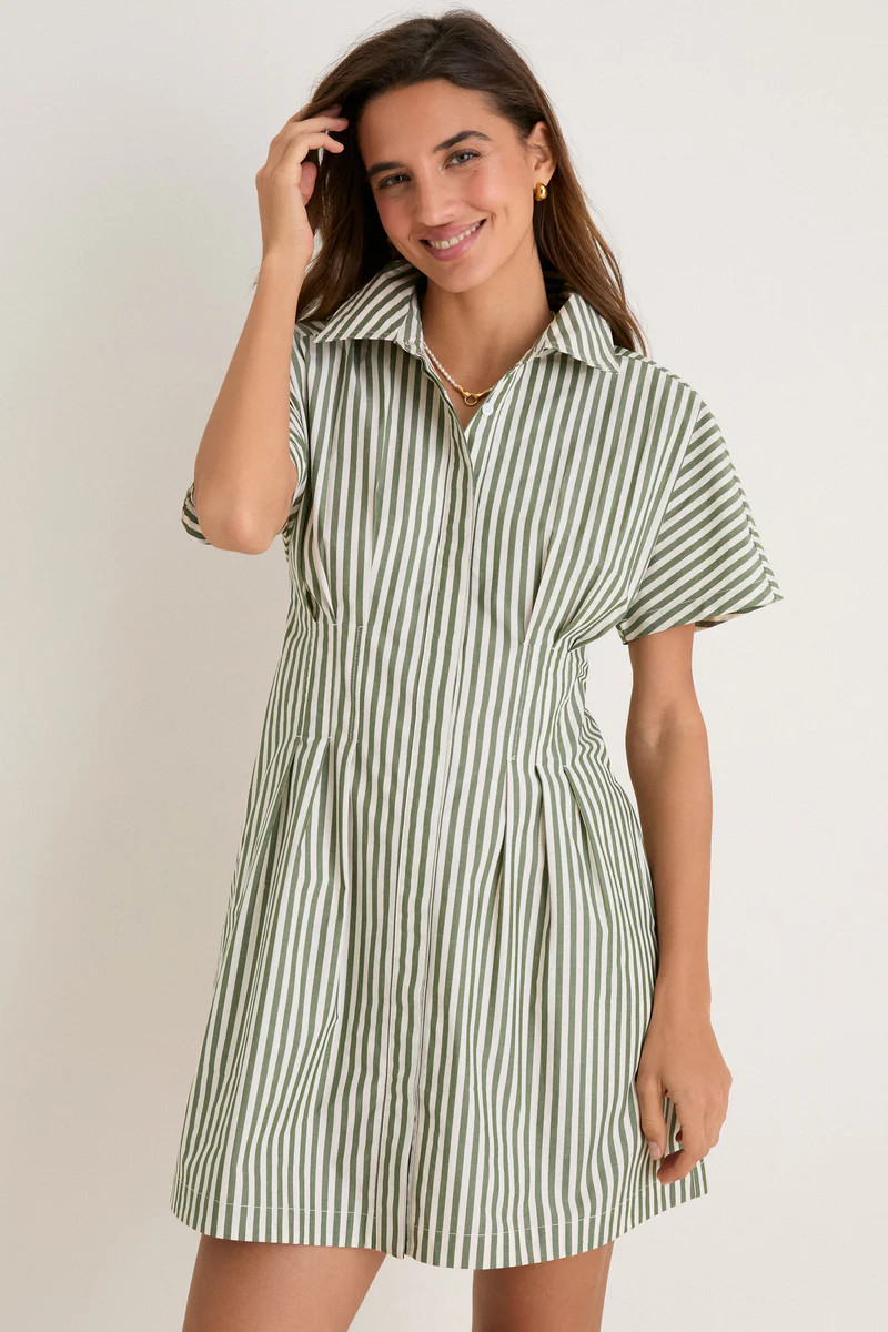 Jardin Stripe Cotton Poplin Mini Callie Dress | Tuckernuck (US)