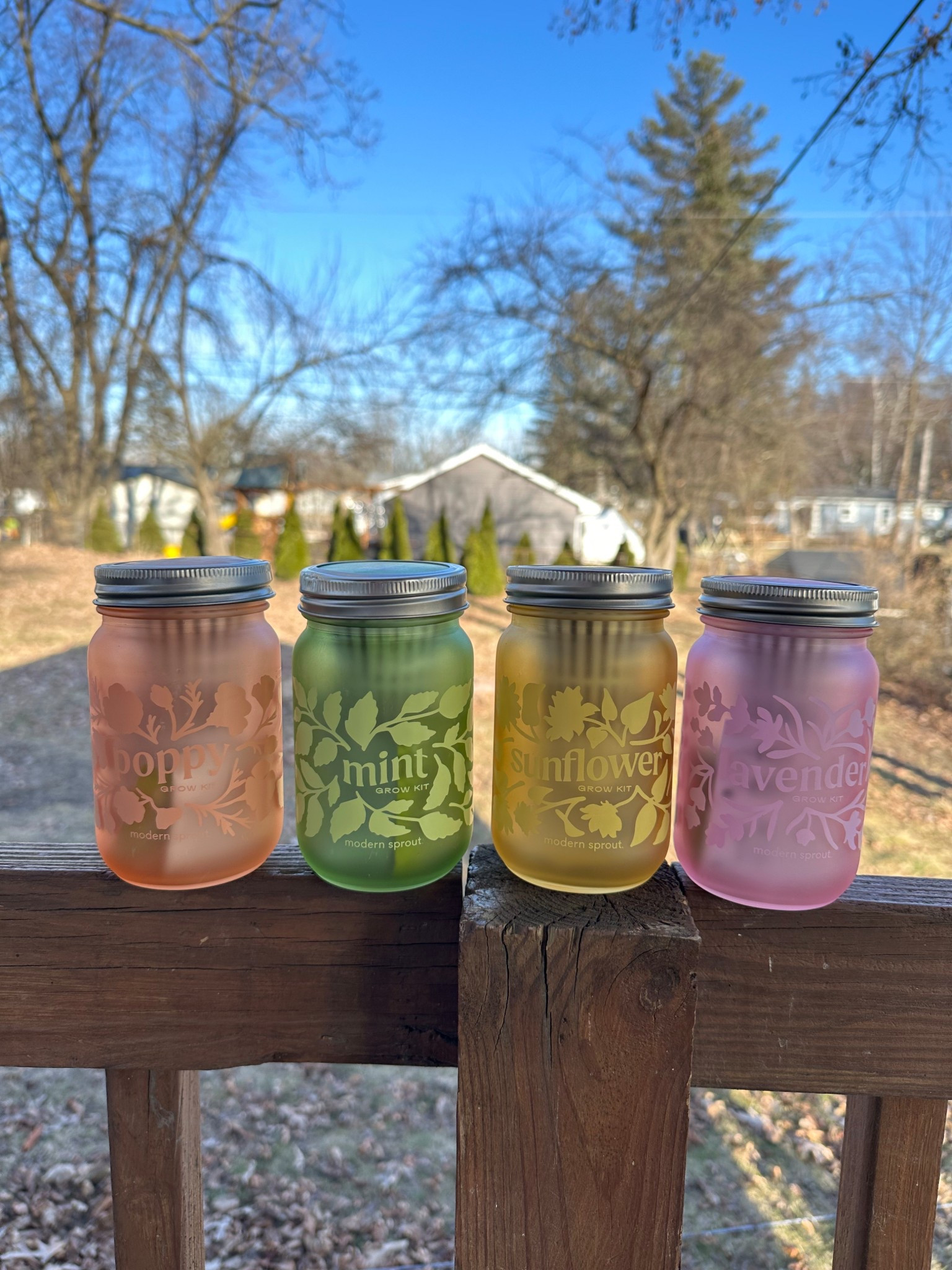 The cutest glass plant kits! They’re self watering too! 🌿🌸

#LTKFindsUnder50 #LTKSeasonal #LTKHome