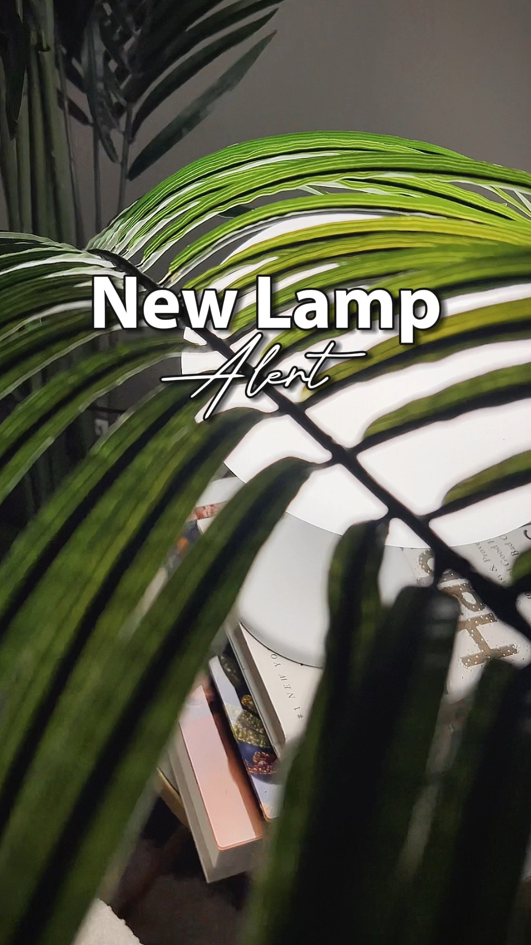 Loving this new lamp from MagCharm Official. 


#ltktech #cordlesslamp #minimalist #minimalisthome #unboxing #neutralhome #neutralapartment #aesthetic 

#LTKhome #LTKVideo #LTKfindsunder100