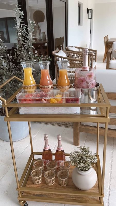 Mimosa bar #mimosa #spring #easter #easterdecor #springdecor #barcart #goldbarcart #mothersday #brunch #champagneicebucket #icebucketmold #drinkware #homedecor #amazon #amazonfind #target #targethome #outdoordecor #patiodecor #patio 

#LTKFind #LTKunder50 #LTKhome