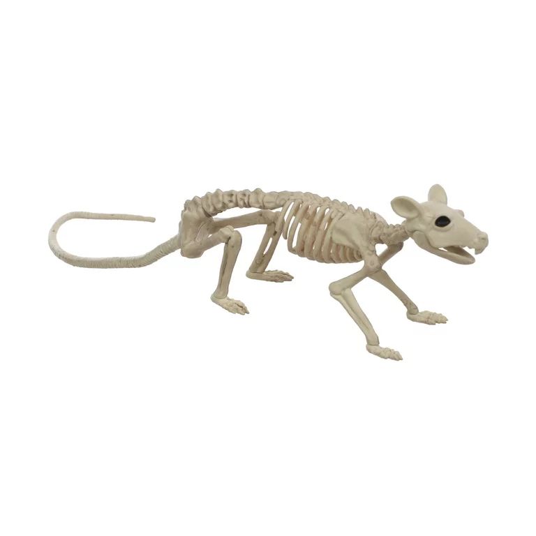 Official Crazybonez Faux Rat Skeleton | Walmart (US)