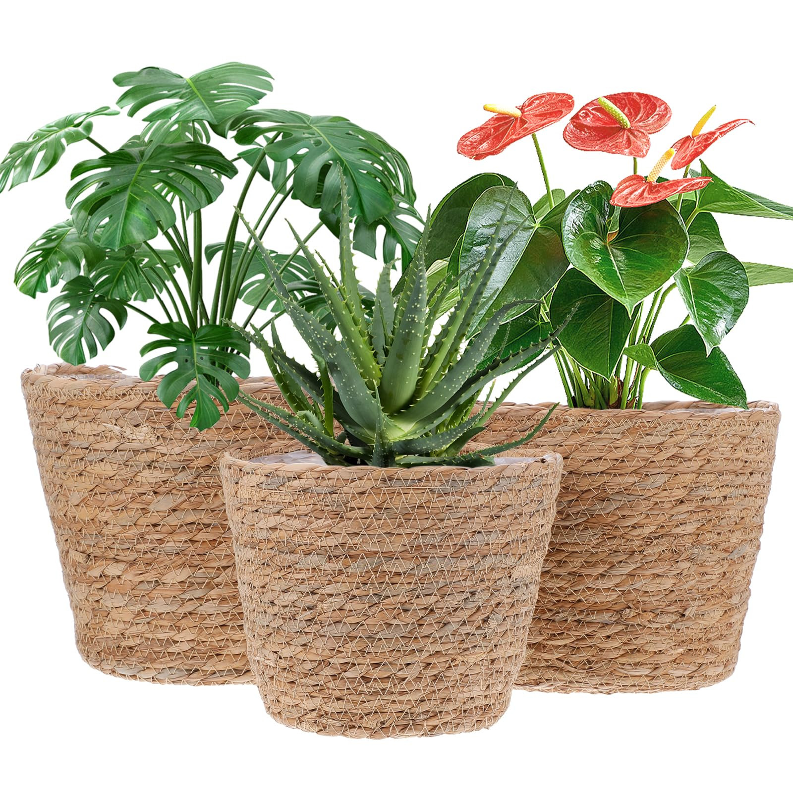 3 PCS Plant Baskets Indoor with Plastic Liner, Water Hyacinth Woven Planters Flower Basket, Plant... | Amazon (US)