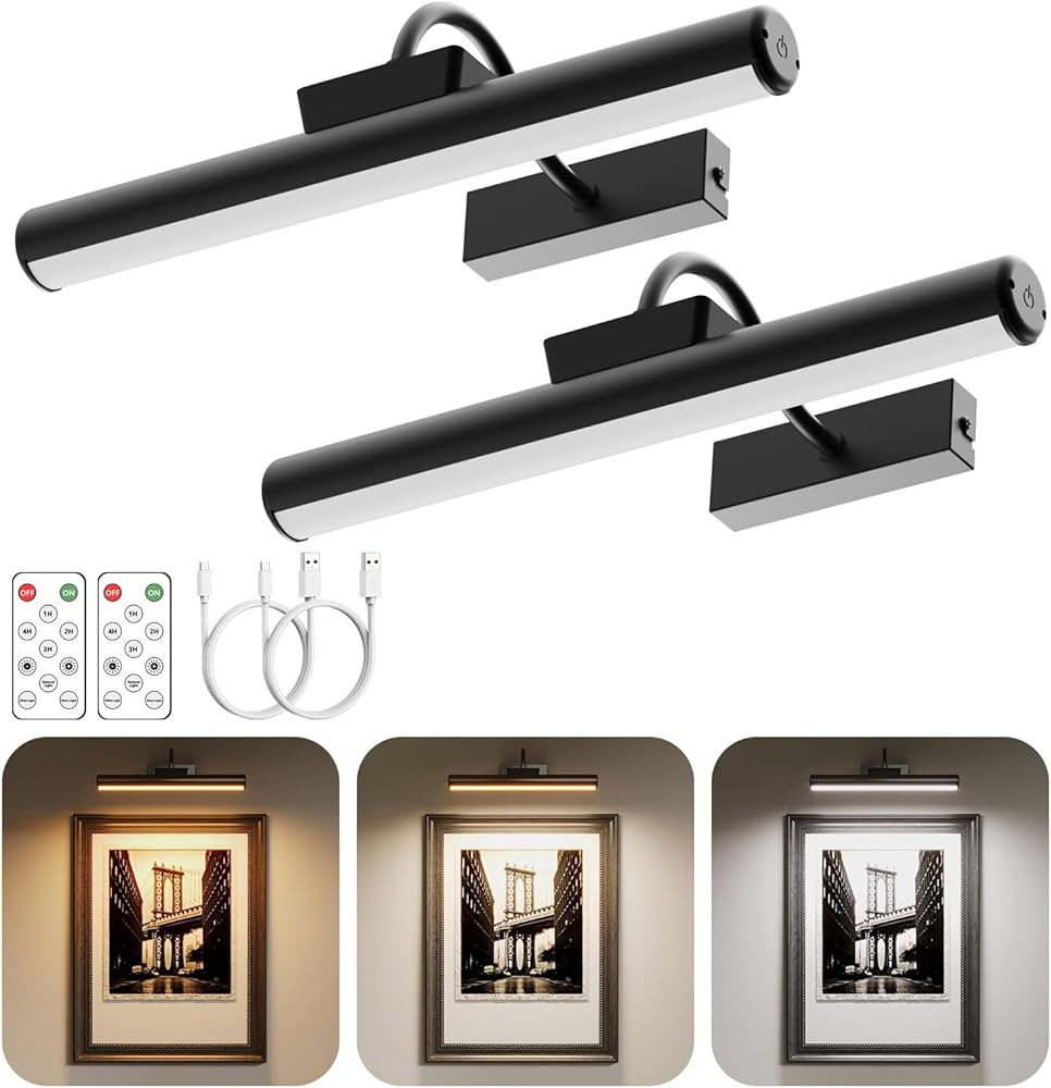 Wireless Picture Light with Remote, Battery Operated Wall Sconce 5000mAh, 3 Color Modes and Dimma... | Amazon (US)