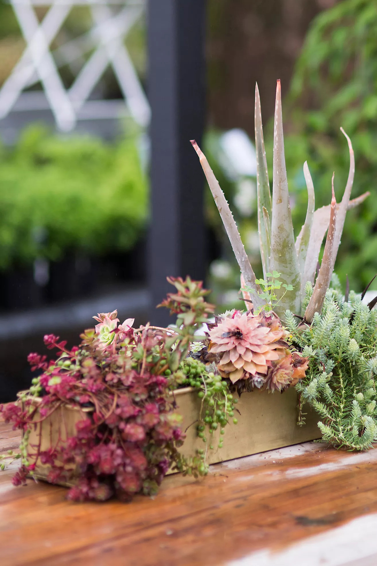 Habit & Form Rectangle Trough | Anthropologie (US)