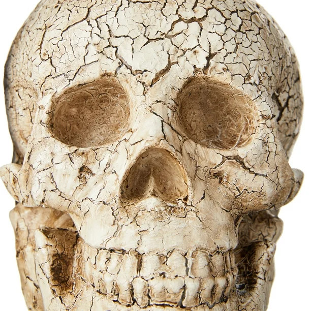 Way To Celebrate Halloween Black & White Resin Skull Decorations, Set of Two, 5.4" | Walmart (US)