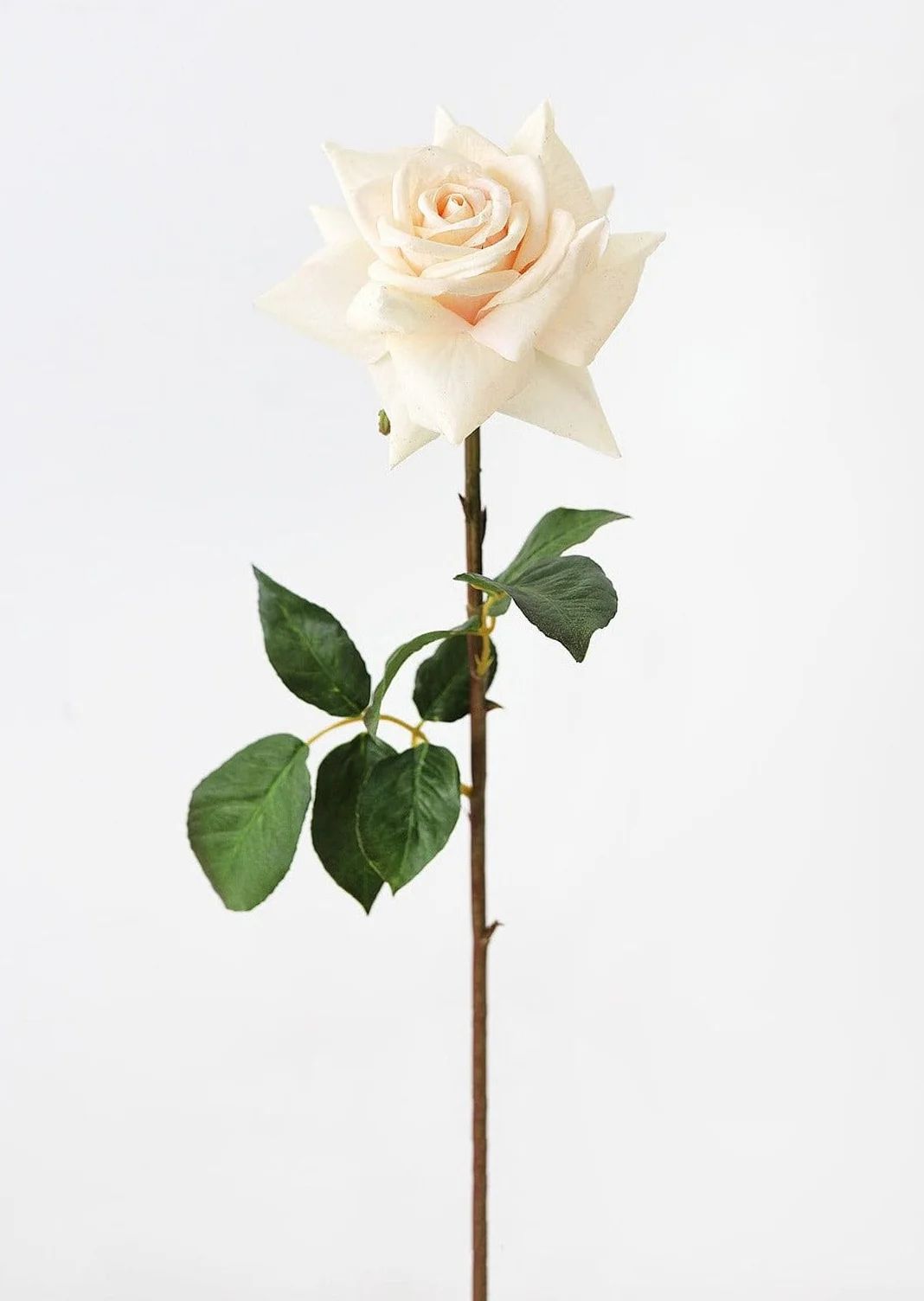 Real Touch Rose in Cream Peach - 20" | Afloral