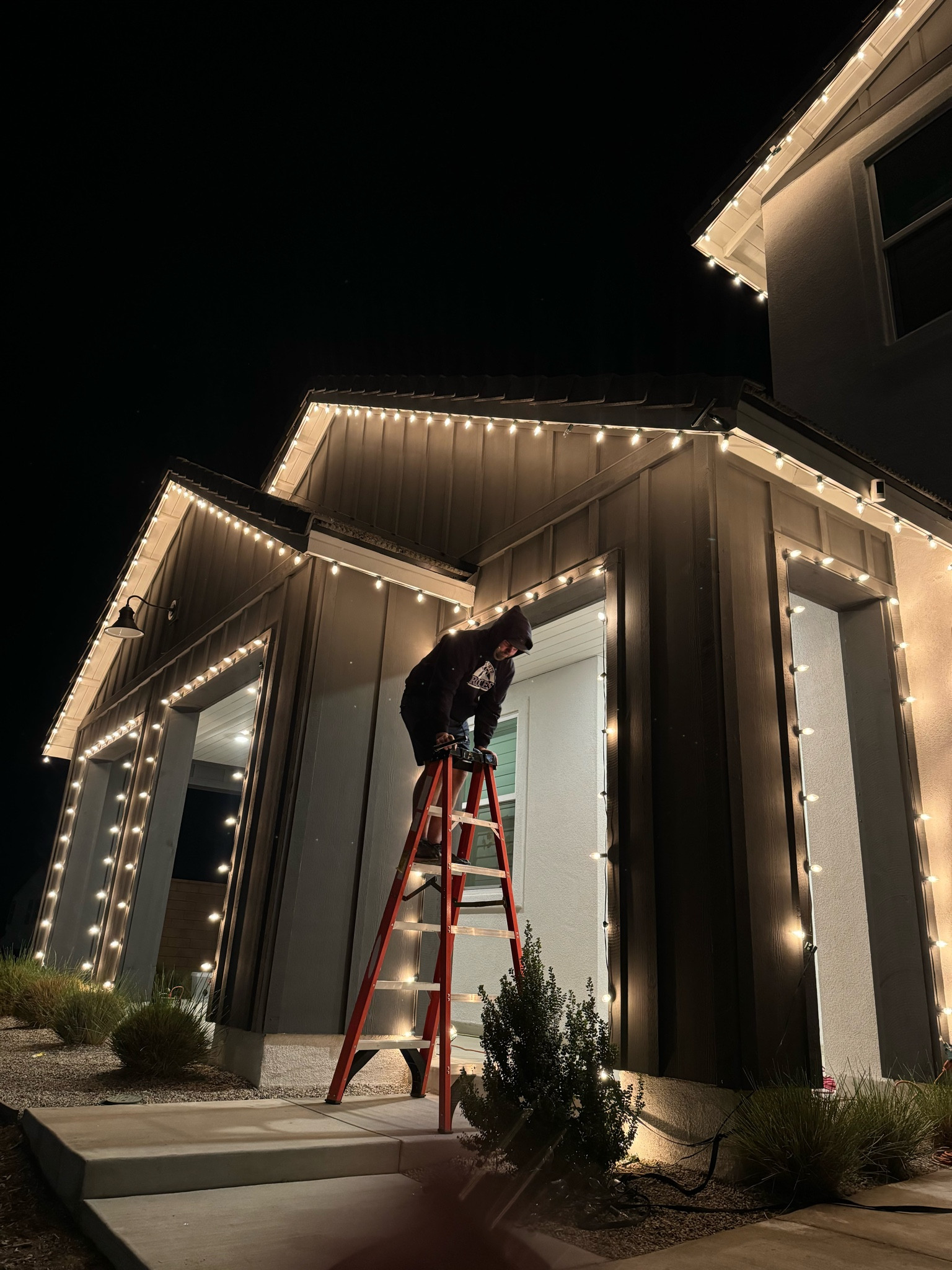 All things Christmas Lights 

#LTKSeasonal #LTKHoliday #LTKHome