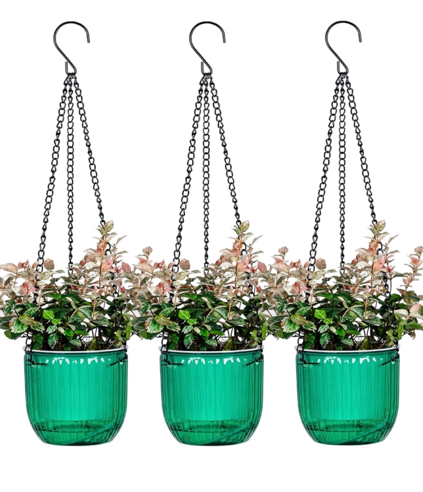 Self watering pots 

#LTKGiftGuide #LTKstyletip #LTKsalealert