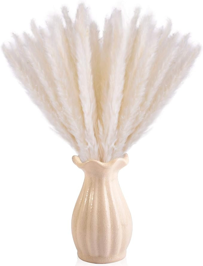 Dry Pampas Grass Natural Dried Bundle for Home Decor 20pcs(White) | Amazon (US)