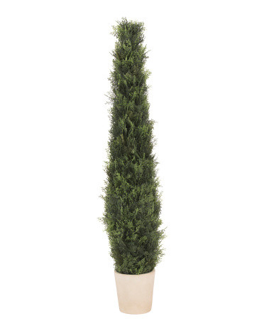 4Ft Outdoor Safe Cypress Potted In Pot | TJ Maxx