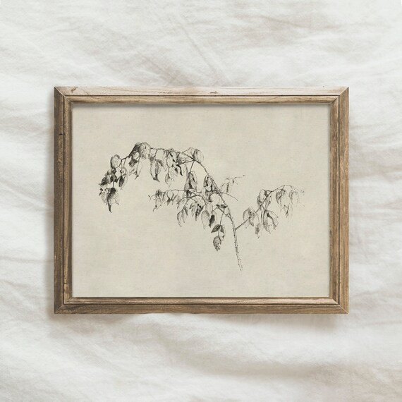 Branch Sketch / Minimalist Neutral Botanical Drawing / | Etsy | Etsy (US)