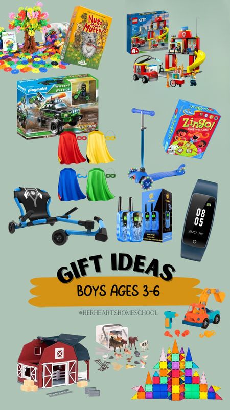 Gift Ideas for young boys that our family loves! 

#LTKGiftGuide #LTKfamily #LTKkids