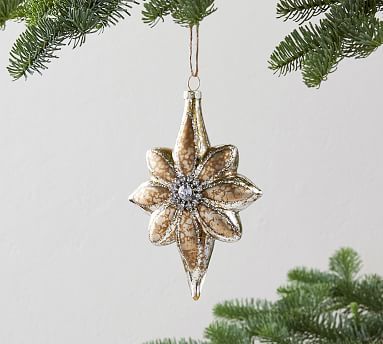 Mercury Glass Star Ornament | Pottery Barn (US)