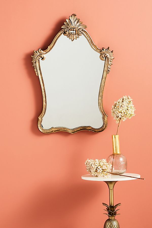 Penelope Arch Mirror | Anthropologie (US)