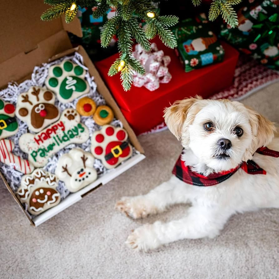 Wufers Holiday Dog Cookie Box | Handmade Hand-Decorated Dog Treats | Dog Gift Box Made with Local... | Amazon (US)