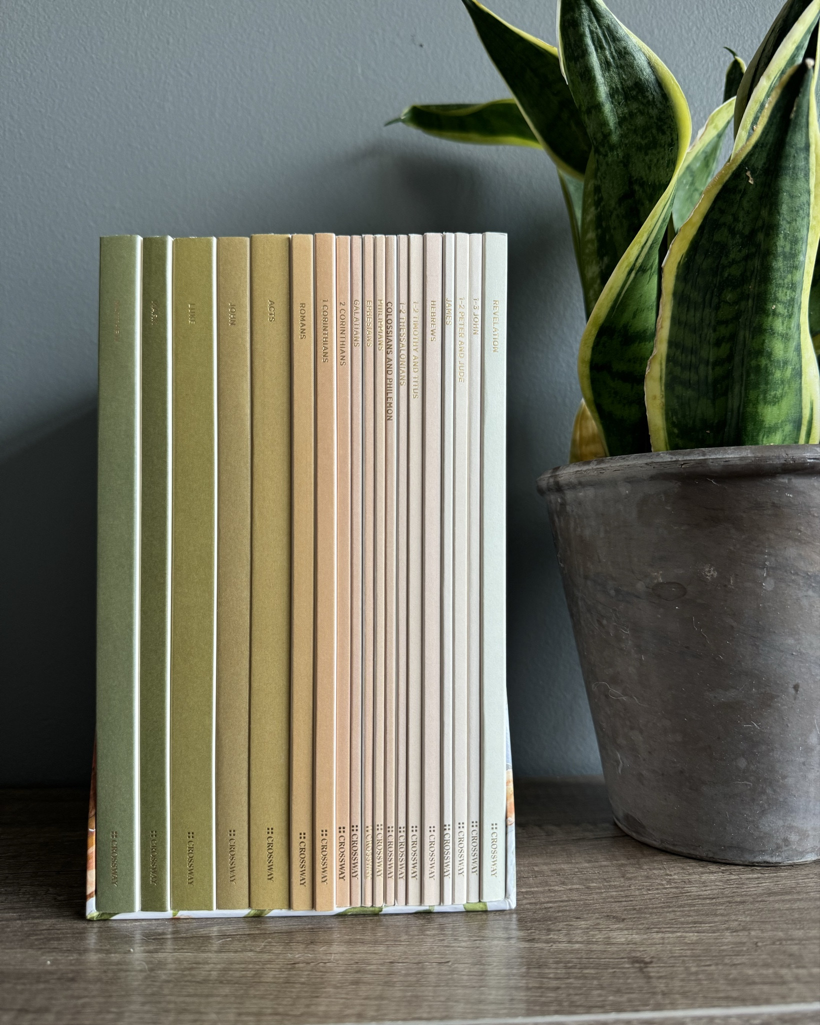 Scripture journals! I love these individual scripture journals for journaling because it helps me focus on one chapter at a time & really understand the message from the scripture! 

#LTKHome #LTKFindsUnder50