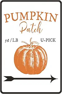 New Metal Sign Aluminum Sign Pumpkin Patch Sign Decor Easter Lover Fall Sign for Outdoor & Indoor... | Amazon (US)