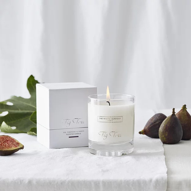Fig Tree Signature Candle | The White Company (UK)