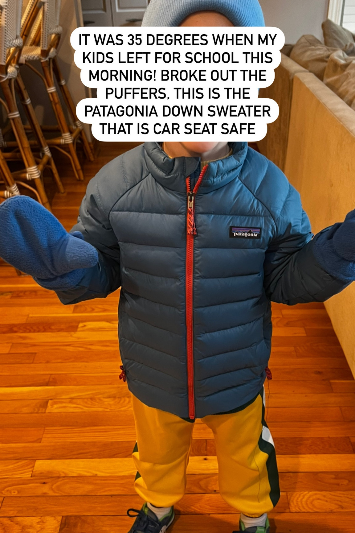 Patagonia car sales seat safe jacket