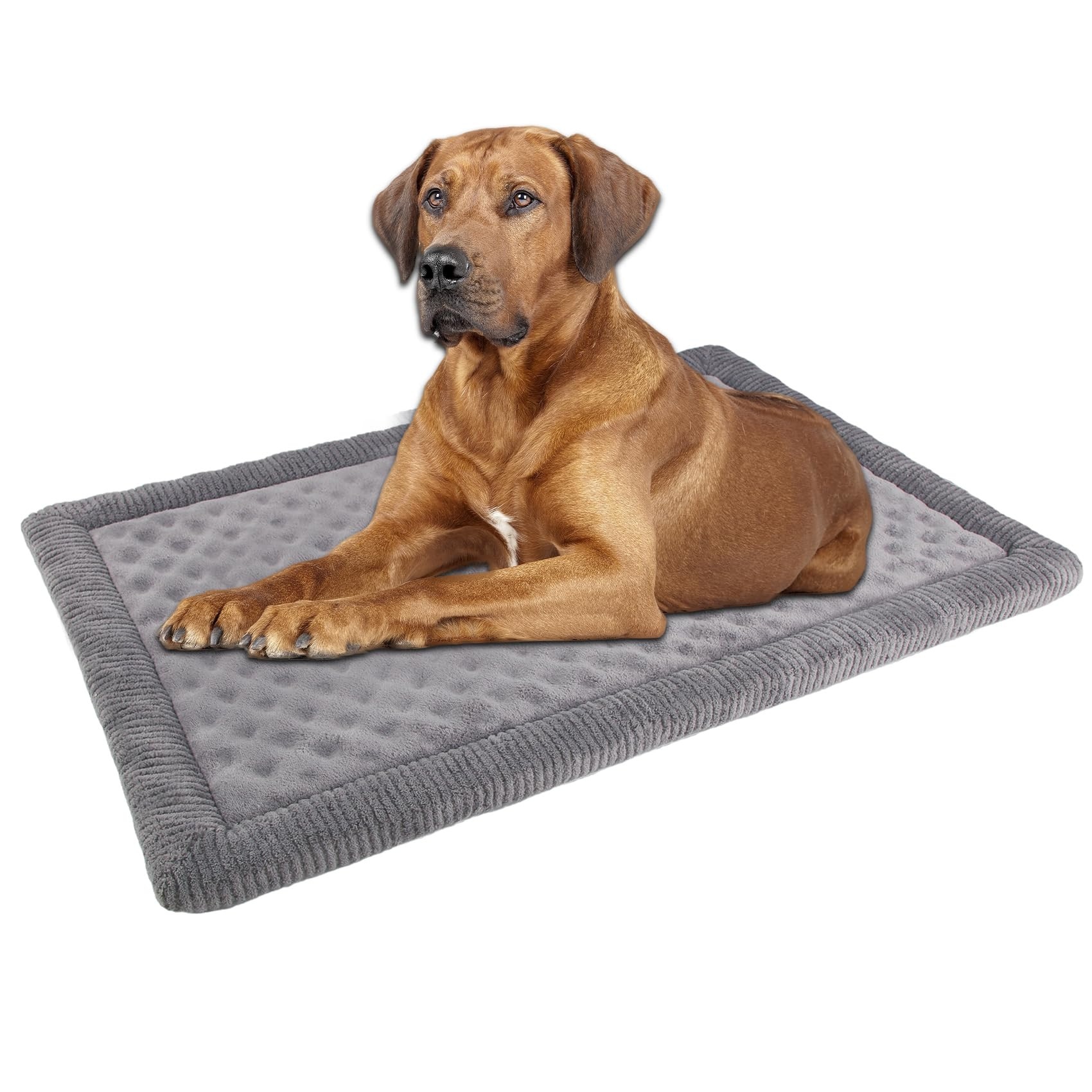 Gray Dog Crate Pad 48x30 inch Memory Foam Large Dog Kennel Bed Soft Flannel Washable Anti Slip Pu... | Amazon (US)