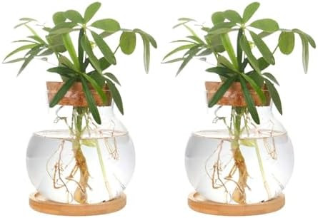 CHPINDAM Plant Propagation Station,Hydroponic Glass Container Vase Jars, with Wooden Saucer for D... | Amazon (US)
