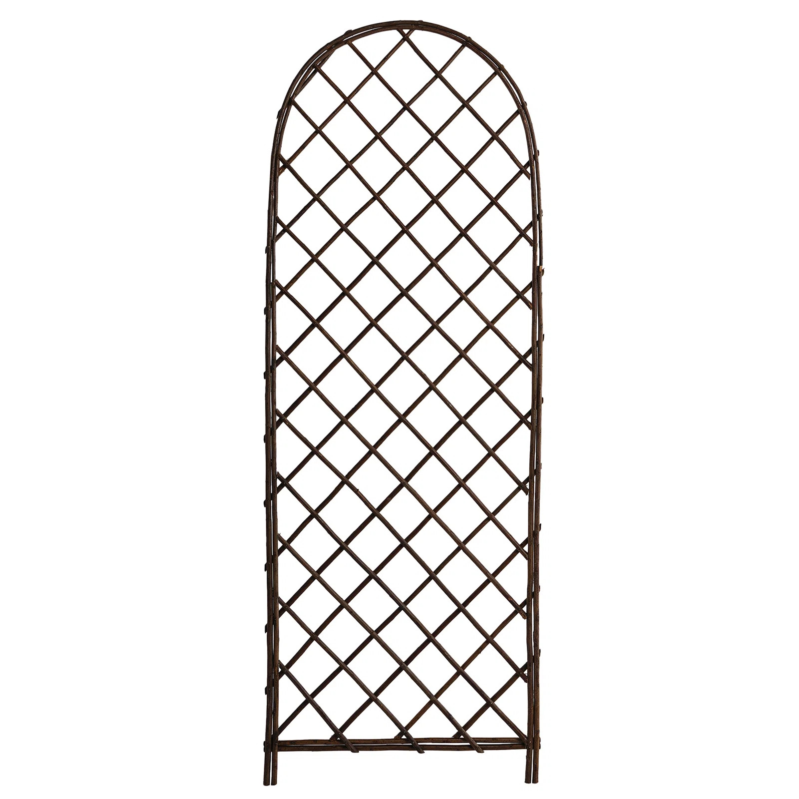 72''H 24''W Wood Arc Top  Trellis Natural Wood Screen | Wayfair North America