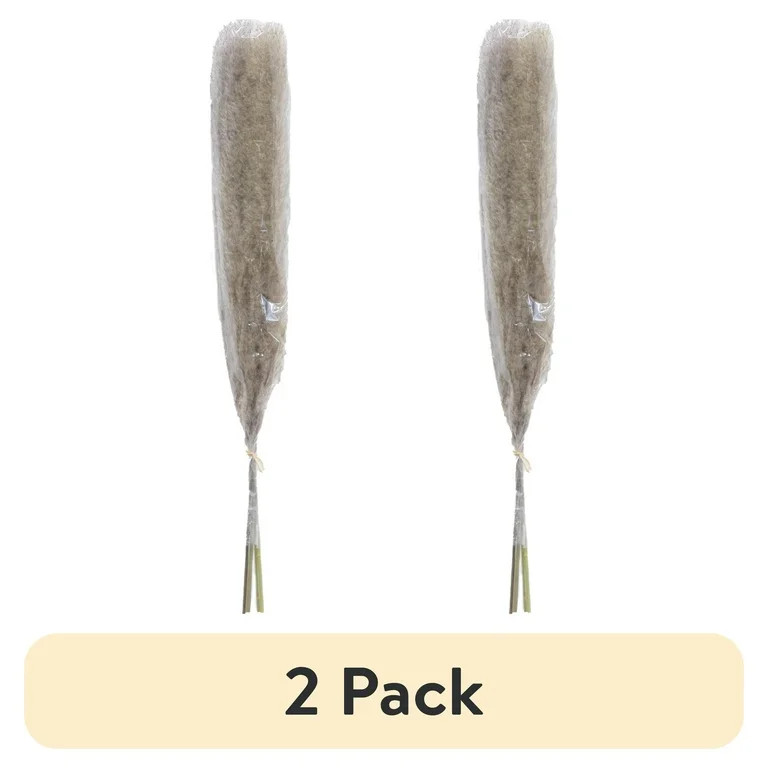 (2 pack) Mainstays 47"H Tall Decorative Natural Beige Pampas Grass | Walmart (US)