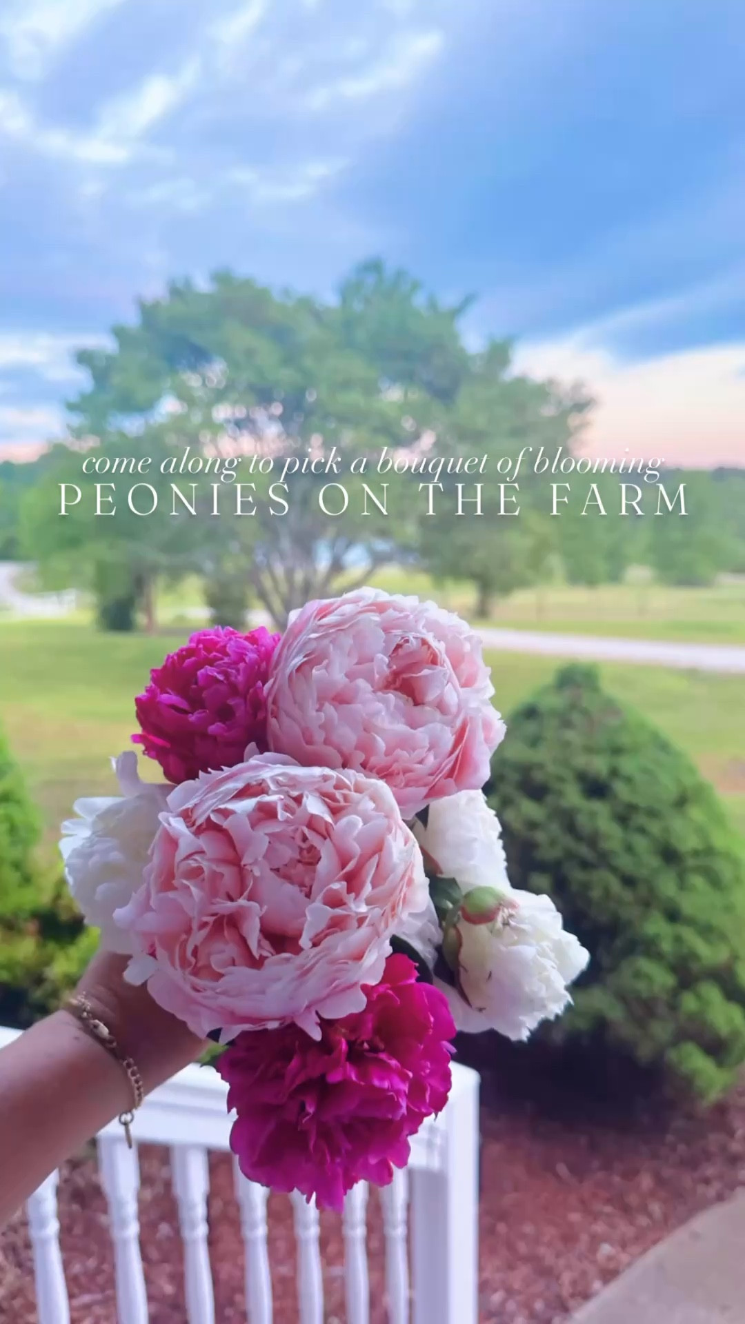 this place is a  d r e a m  c o m e  t r u e 🌸🚜💝🌳🪷 #peoniesonthefarm #peonyblooms #farmsweetfarm #firstspringonthefarm #dreamcometrue 

Our farm sweet farm 🚜🌳🌾 is  c o v e r e d  in blooming peony plants 🌸 y’all 🫶🏽 and it is just the sweetest little gift 💝 and surprise from God!! 🥰🤍 So thankful for this beautiful slice of heaven on earth and all the beauty in His Creation all around!! 🪷🌾🩷

#LTKHome