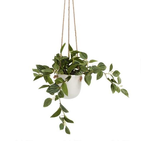 Faux Peperomia Quadrangularis Plant in Hanging Pot | World Market