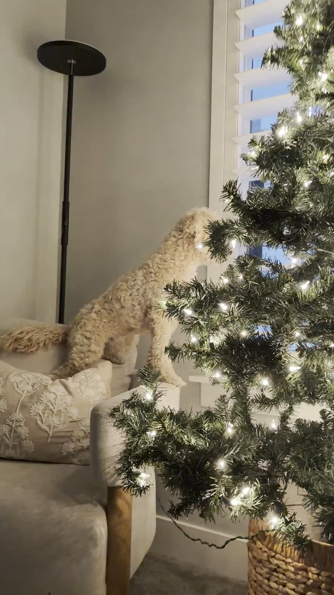 #LTKHoliday #LTKHome #LTKGiftGuide