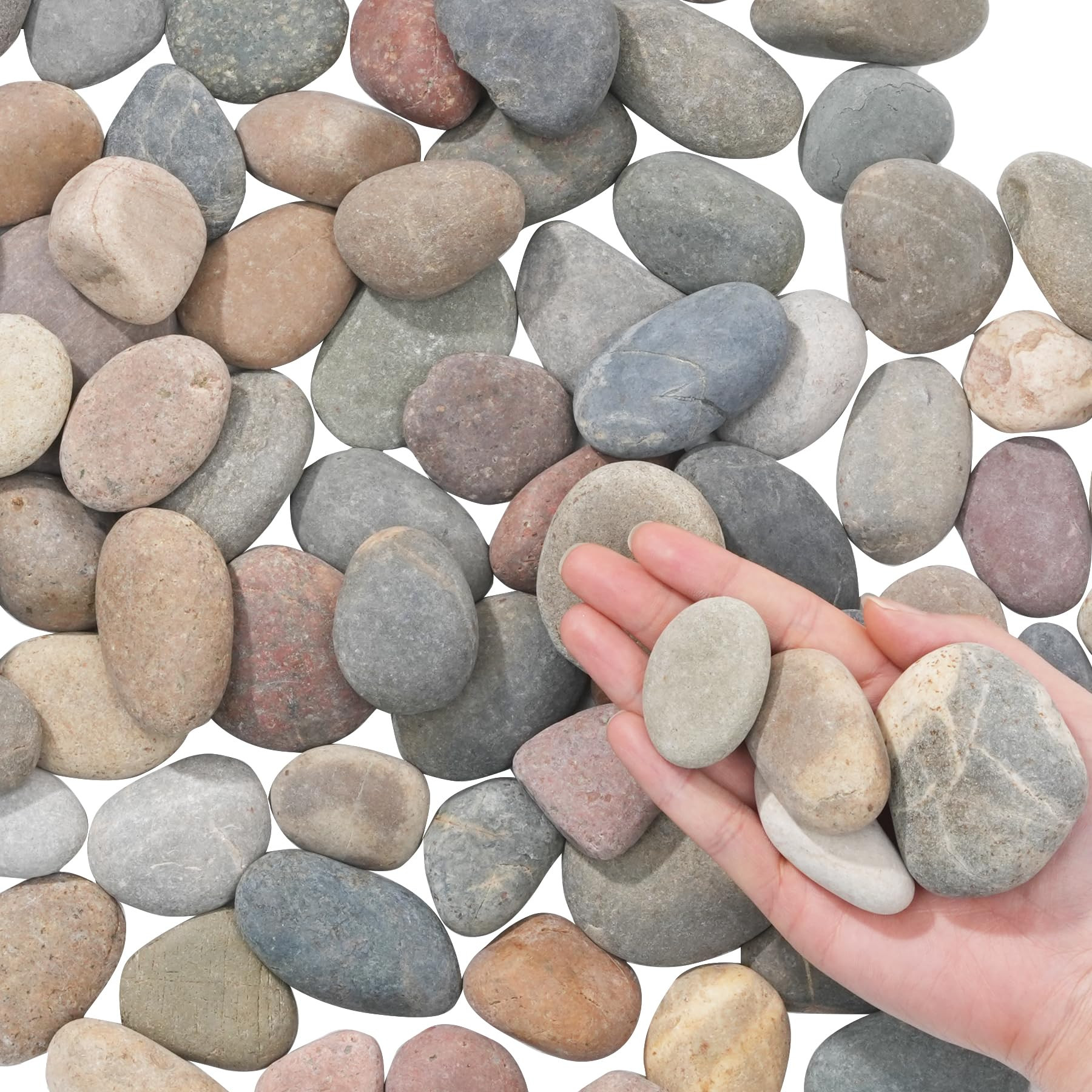 Natural River Rocks-5 lbs of Pebbles and River Stones,1-2 Inch Plant Rocks for Landscaping,Garden... | Amazon (US)