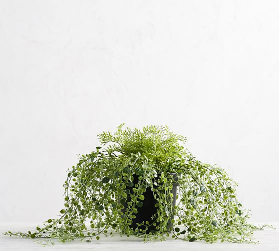 Faux Potted Trailing Fern | Pottery Barn (US)