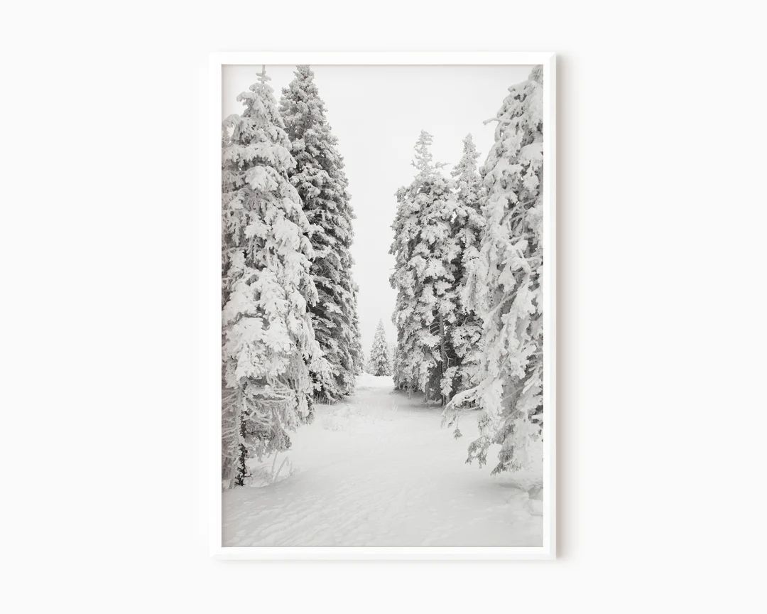 Winter Forest Art Snow Photography Pine Tree Print Winter Wall - Etsy | Etsy (US)