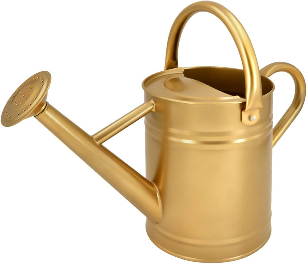Lechloris Metal Watering Can for Outdoor Plants, 1 Gallon Galvanized Steel Watering Can with Remo... | Amazon (US)