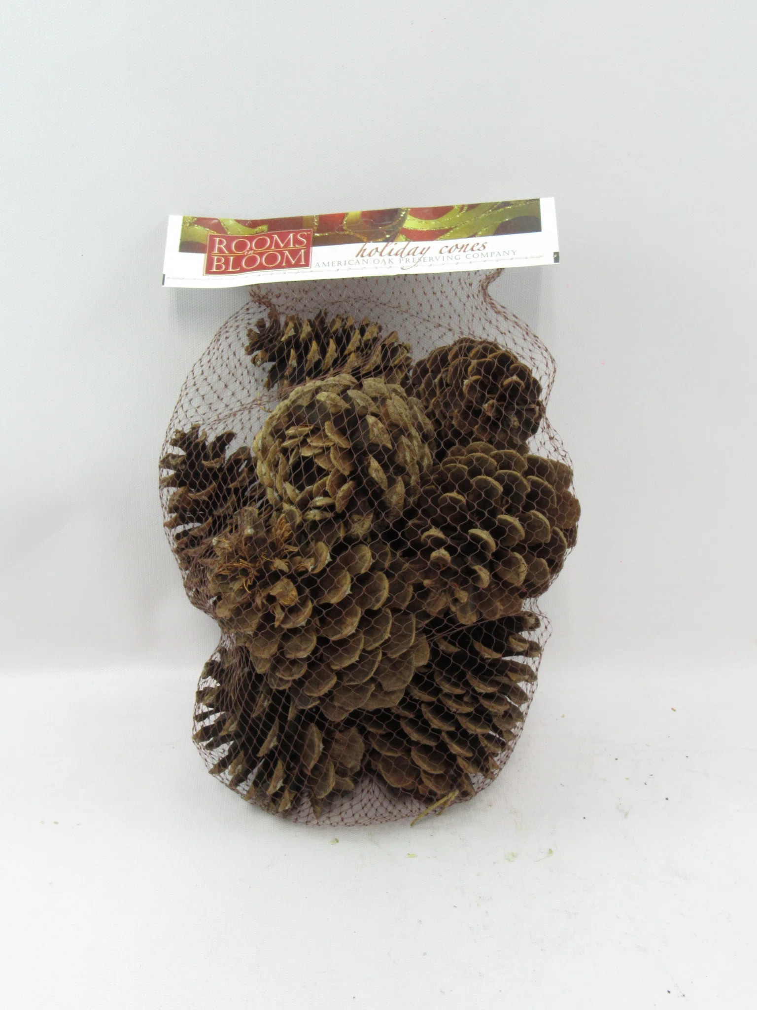 Cinnamon Scented Pine Cone (Set of 12) | Wayfair North America