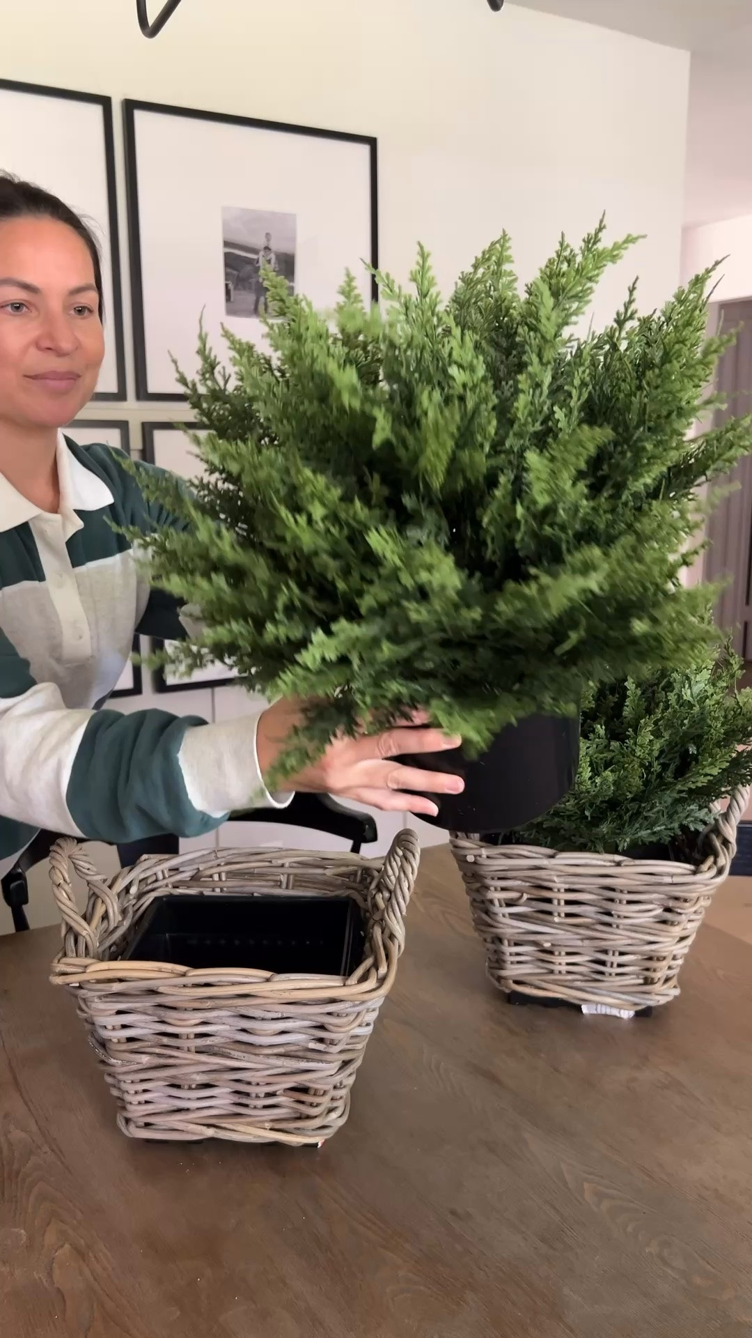 Faux cedar shrubs, great quality and affordable, come in a set of 2!

#LTKSeasonal #LTKHome