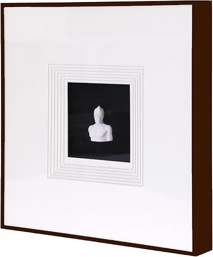 Sculpture Wall Art,French Vintage Decor with Framed,Aesthetic Black Paintings for Home Living Roo... | Amazon (US)