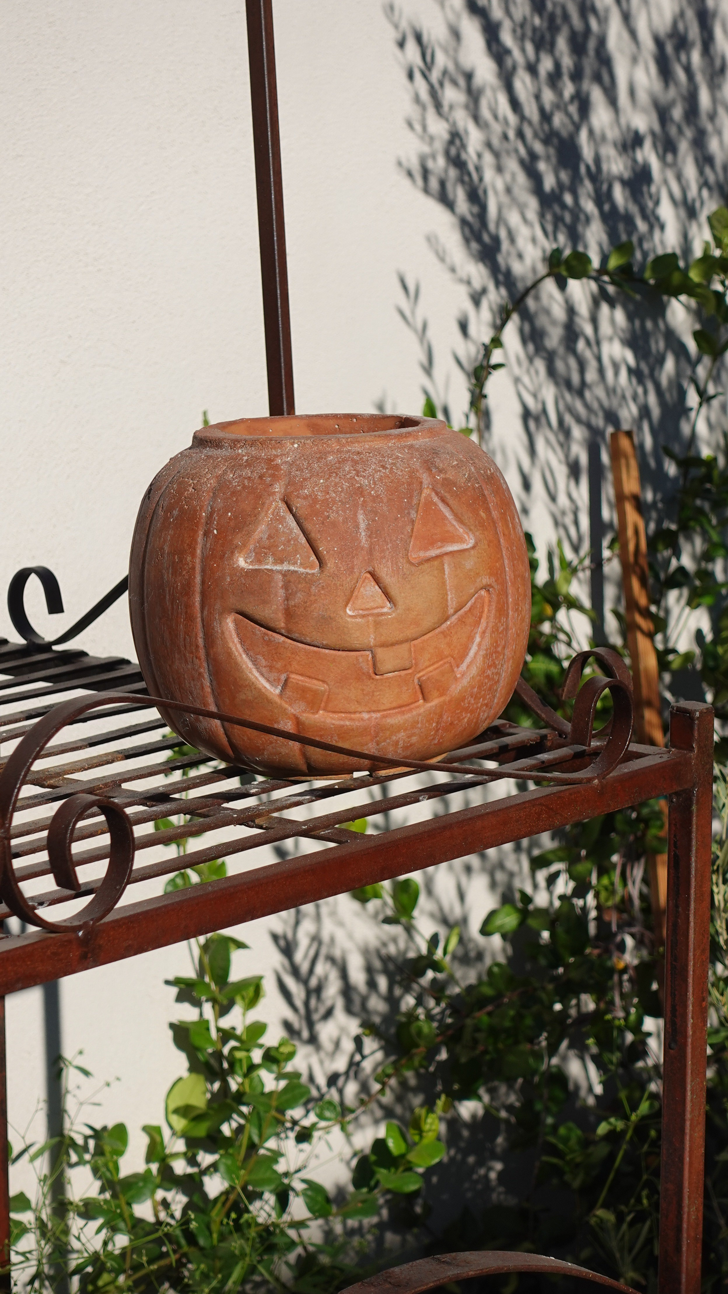 DIY Pumpkin Planter 🎃✨️

#LTKHalloween #LTKSeasonal #LTKHome