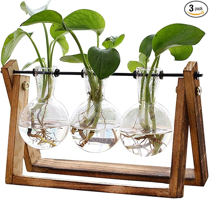XXXFLOWER Plant Terrarium with Wooden Stand, Air Planter Bulb Glass Vase Metal Swivel Holder Retr... | Amazon (US)